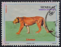 /album/galeria-de-fotos-senegal/a1276-1993-jpg/